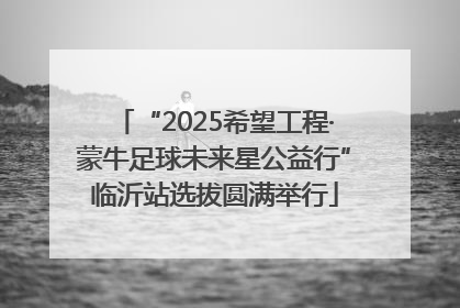 “2025希望工程·蒙牛足球未来星公益行”临沂站选拔圆满举行