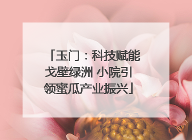 玉门：科技赋能戈壁绿洲 小院引领蜜瓜产业振兴