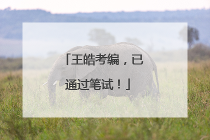 王皓考编，已通过笔试！