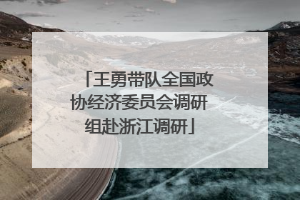 王勇带队全国政协经济委员会调研组赴浙江调研
