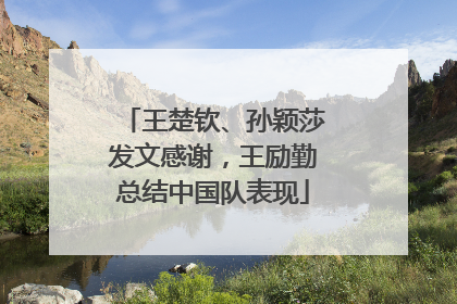 王楚钦、孙颖莎发文感谢，王励勤总结中国队表现