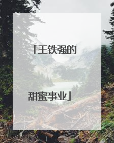 王铁强的甜蜜事业