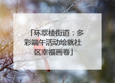 环翠楼街道：多彩端午活动绘就社区幸福画卷