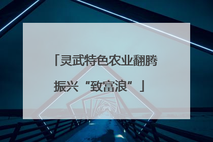 灵武特色农业翻腾振兴“致富浪”