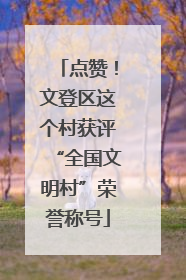 点赞！文登区这个村获评“全国文明村”荣誉称号