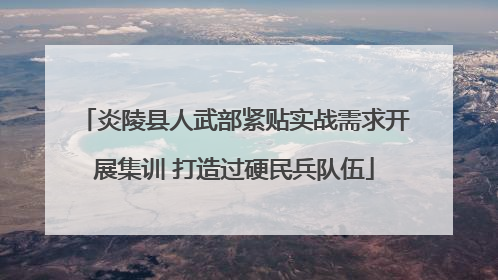 炎陵县人武部紧贴实战需求开展集训 打造过硬民兵队伍