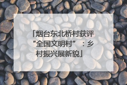 烟台东北桥村获评“全国文明村”：乡村振兴展新貌