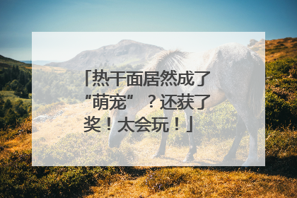 热干面居然成了“萌宠”？还获了奖！太会玩！