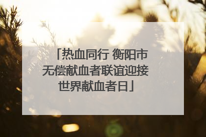 热血同行 衡阳市无偿献血者联谊迎接世界献血者日