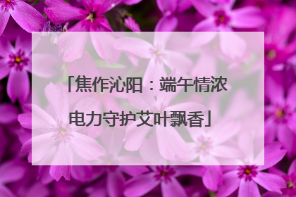 焦作沁阳：端午情浓 电力守护艾叶飘香