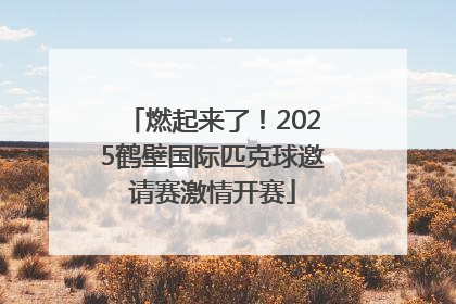 燃起来了！2025鹤壁国际匹克球邀请赛激情开赛