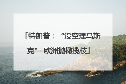 特朗普：“没空理马斯克” 欧洲抛橄榄枝