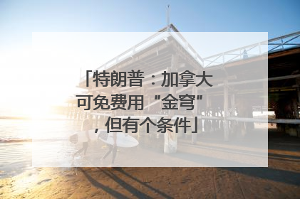 特朗普：加拿大可免费用“金穹”，但有个条件