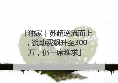 独家｜苏超逆流而上，赞助费飙升至300万，仍一席难求