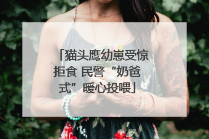 猫头鹰幼崽受惊拒食 民警“奶爸式”暖心投喂