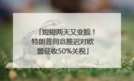 短短两天又变脸！特朗普同意推迟对欧盟征收50%关税