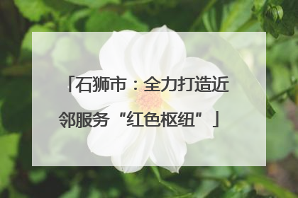 石狮市：全力打造近邻服务“红色枢纽”