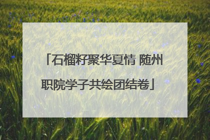 石榴籽聚华夏情 随州职院学子共绘团结卷