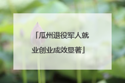瓜州退役军人就业创业成效显著