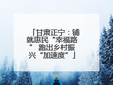 甘肃正宁：铺就惠民“幸福路” 跑出乡村振兴“加速度”