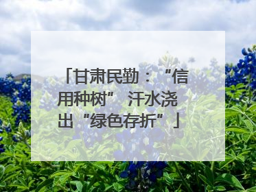 甘肃民勤：“信用种树” 汗水浇出“绿色存折”