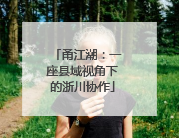甬江潮：一座县域视角下的浙川协作