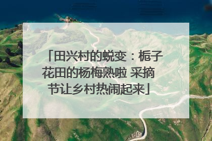 田兴村的蜕变：栀子花田的杨梅熟啦 采摘节让乡村热闹起来