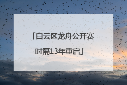 白云区龙舟公开赛时隔13年重启