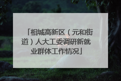 相城高新区（元和街道）人大工委调研新就业群体工作情况
