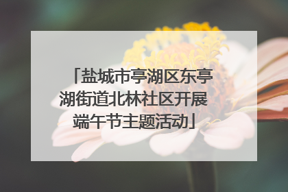 盐城市亭湖区东亭湖街道北林社区开展端午节主题活动