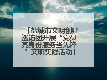 盐城市文明创建巡访团开展“党员亮身份服务当先锋”文明实践活动