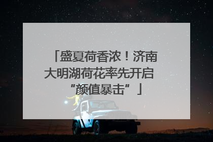 盛夏荷香浓！济南大明湖荷花率先开启“颜值暴击”