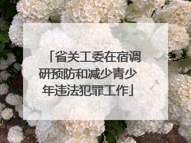 省关工委在宿调研预防和减少青少年违法犯罪工作