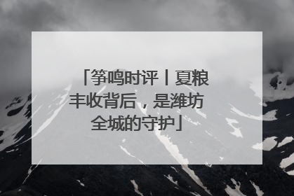筝鸣时评丨夏粮丰收背后，是潍坊全城的守护