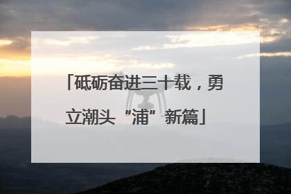 砥砺奋进三十载，勇立潮头“浦”新篇