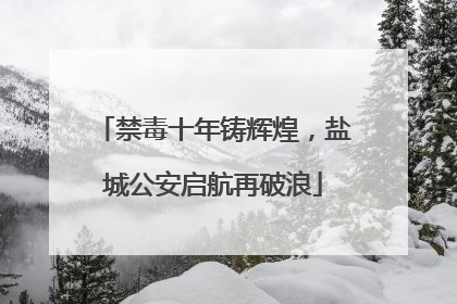 禁毒十年铸辉煌，盐城公安启航再破浪