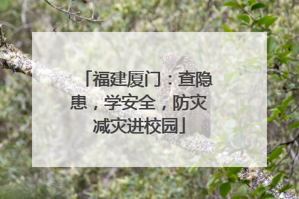 福建厦门：查隐患，学安全，防灾减灾进校园