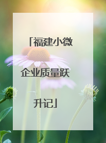 福建小微企业质量跃升记