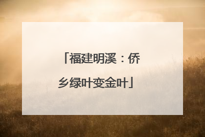 福建明溪：侨乡绿叶变金叶