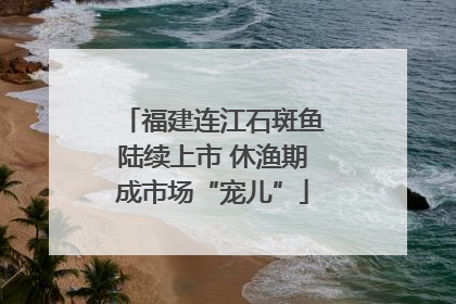福建连江石斑鱼陆续上市 休渔期成市场“宠儿”