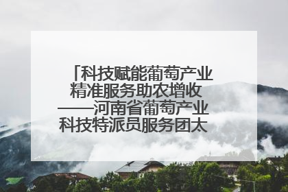 科技赋能葡萄产业 精准服务助农增收——河南省葡萄产业科技特派员服务团太康县科技服务纪实