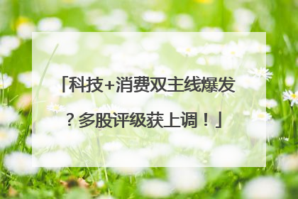 科技+消费双主线爆发？多股评级获上调！