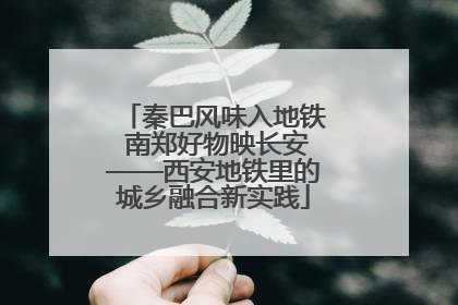 秦巴风味入地铁 南郑好物映长安——西安地铁里的城乡融合新实践