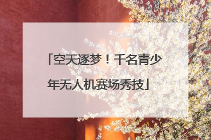 空天逐梦！千名青少年无人机赛场秀技