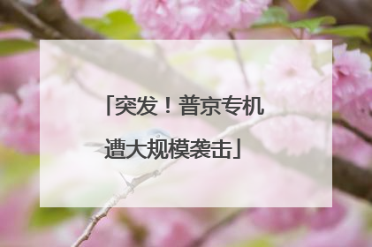 突发！普京专机遭大规模袭击