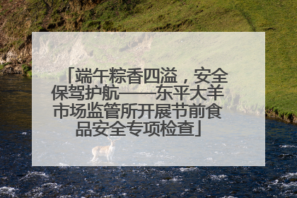 端午粽香四溢，安全保驾护航——东平大羊市场监管所开展节前食品安全专项检查
