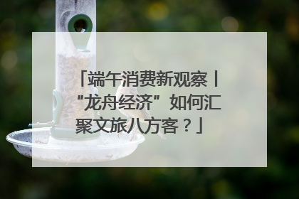 端午消费新观察丨“龙舟经济”如何汇聚文旅八方客？