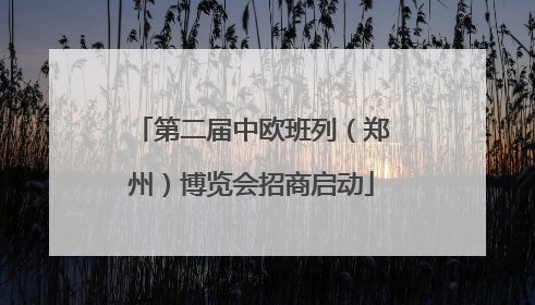 第二届中欧班列（郑州）博览会招商启动