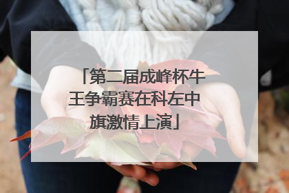 第二届成峰杯牛王争霸赛在科左中旗激情上演