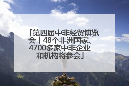第四届中非经贸博览会丨48个非洲国家、4700多家中非企业和机构将参会